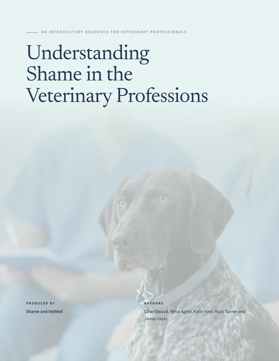 The cover of Understanding Shame in the Veterinary Professions, an introductory resource for veterinary professionals.